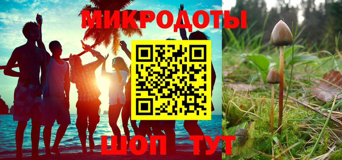 Галлюциногенные грибы Cubensis Липецк