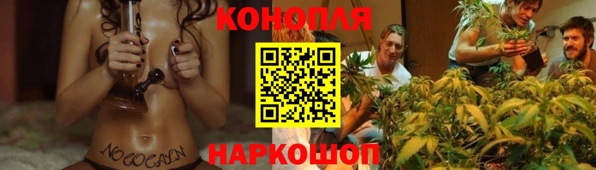 Бошки Шишки Ganja Липецк